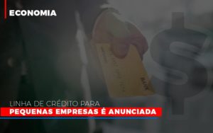 Linha De Credito Para Pequenas Para Pequenas Empresas E Anunciada Notícias E Artigos Contábeis - Contabilidade em São Paulo | Pizzol Contábil