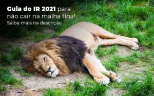 Guia Ir 2021 Para Nao Cair Na Malha Fina Saiba Mais Na Descricao Post 1 - Contabilidade em São Paulo | Pizzol Contábil