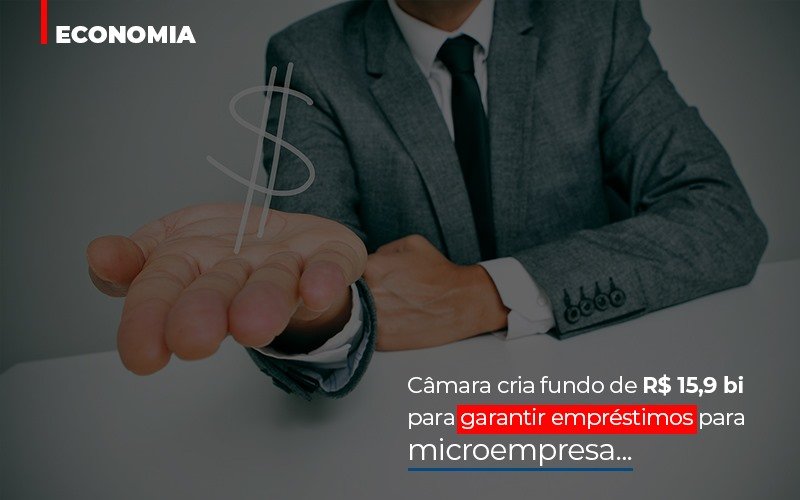 Camara Cria Fundo De Rs 15 9 Bi Para Garantir Emprestimos Para Microempresa Notícias E Artigos Contábeis - Contabilidade em São Paulo | Pizzol Contábil