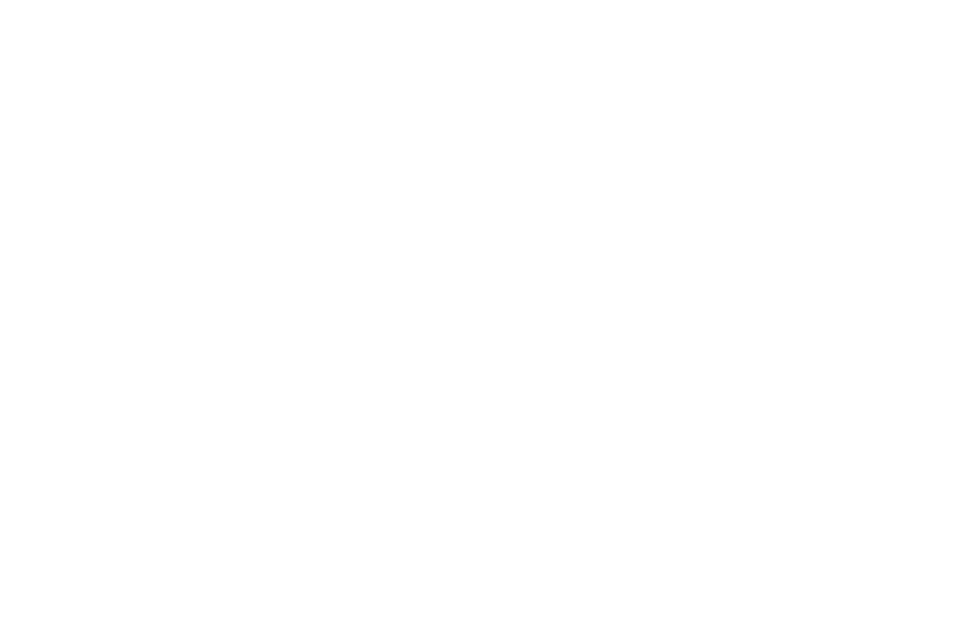 Logo Branco Notícias E Artigos Contábeis - Contabilidade em São Paulo | Pizzol Contábil