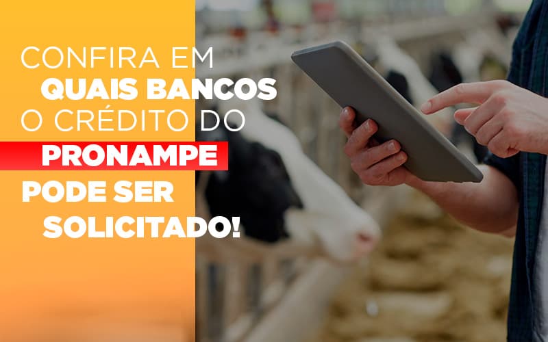 Confira Em Quais Bancos O Credito Pronampe Ja Pode Ser Solicitado - Contabilidade em São Paulo | Pizzol Contábil